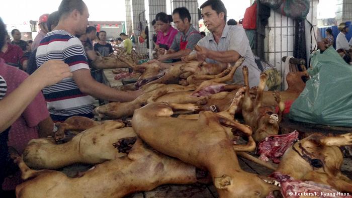 Bildergalerie China Hundefleisch