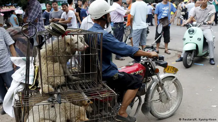 Bildergalerie China Hundefleisch (Reuters/K. Kyung-Hoon)