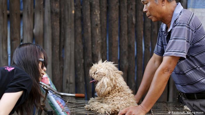 Bildergalerie China Hundefleisch