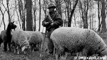 德国最后的牧羊人