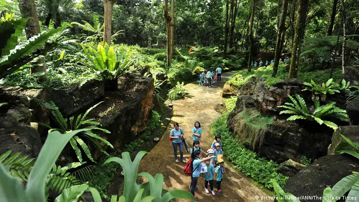 UNESCO Welterbe (Bildergalerie) Singapur Botanischer Garten