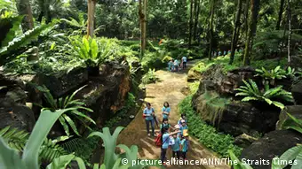 Singapur Botanischer Garten