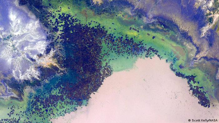 Photo: Lake Kitangiri, Tanzania (Source: Scott Kelly/NASA) 