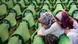Pictureteaser 20 Jahre Srebrenica Pictureteaser 20 Jahre Srebrenica