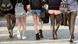 Girls wearing hotpants walk in a row. (Photo: Ole Spata/dpa) Girls wearing hotpants walk in a row. (Photo: Ole Spata/dpa)