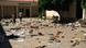 Nigeria, Selbstmordattentat in Zaria Nigeria, Selbstmordattentat in Zaria