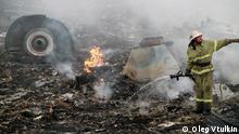 Выгоревшая трава и видео с Буком: новые факты о сбитом MH17 