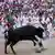 A bull knocks down a reveller and steps on his groin.