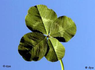 Toi Toi Toi Culture Arts Music And Lifestyle Reporting From Germany Dw 15 09 11