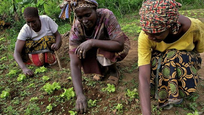 Afrika Tansania Kleinbauern Landwirtschaft Anbau Gemüse