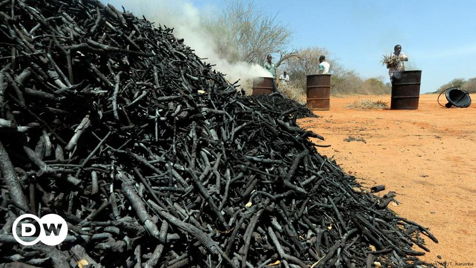 Charcoal production in africa