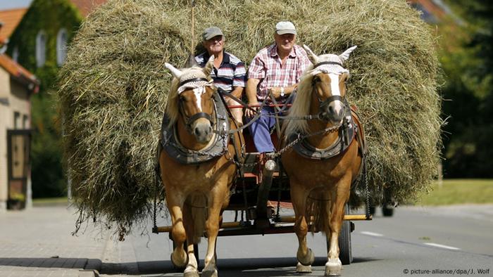 Germany, horse drawn cart with hay