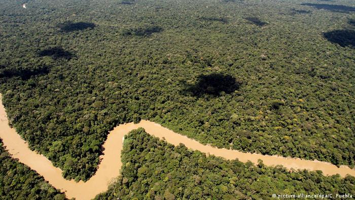 Yasuni National Park aerial shot, river with rainforest (Photo: dpa - Bildfunk)