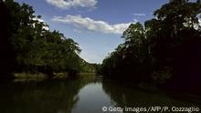 Europa, socio clave en la defensa de los pueblos indígenas de la Amazonía