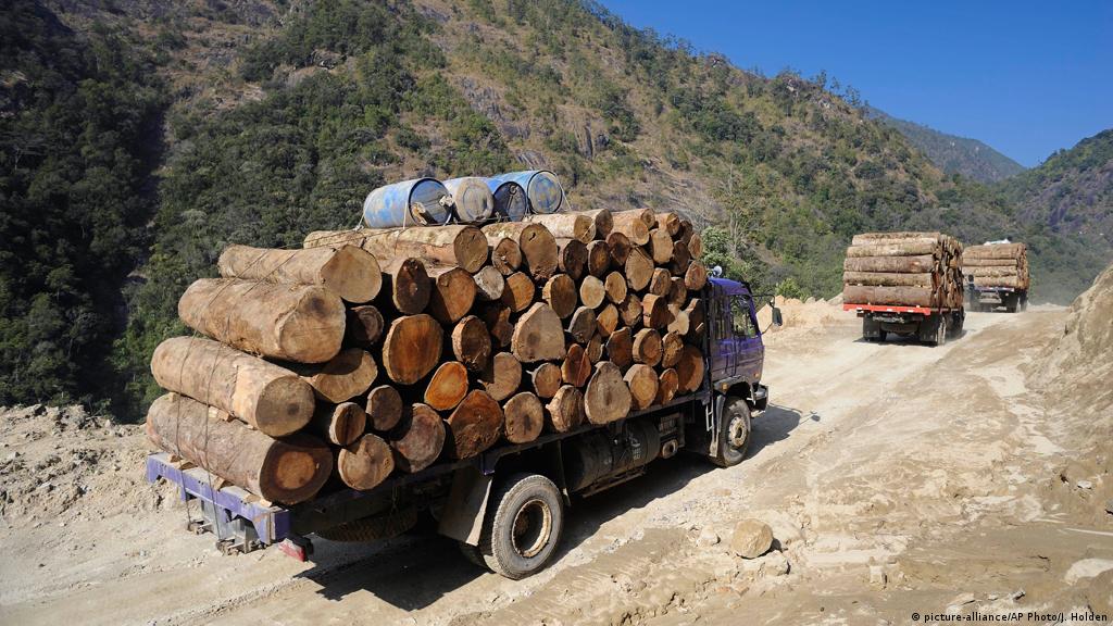 Wood Renewable Construction Material, Man Made Landscape Timbers