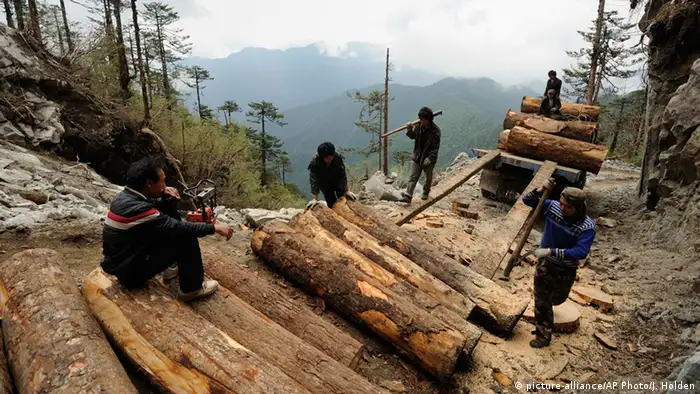 Myanmar Natur Forstwirtschaft