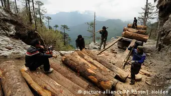 Myanmar Natur Forstwirtschaft
