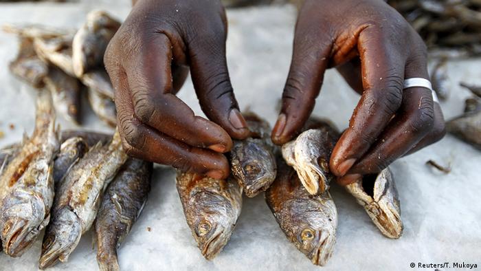 A picture taken of a woman laying out her fish on a market stall in the village where Obama's ancestors come from. (Reuters/T. Mukoya)