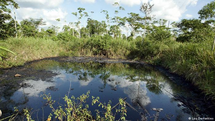 Oil pools in Orellana, Ecuador (Photo: Lou Dematties)