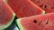 Japonya'da karpuz fiyatları oldukça yüksek Japonya'da karpuz fiyatları oldukça yüksek