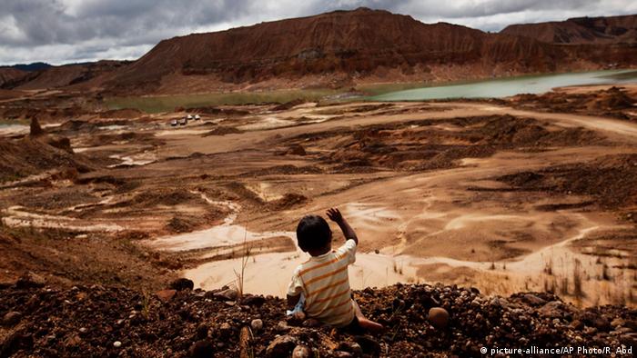 Illegal logging in Peru