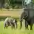 Sambia Elefant Mutter Kind