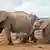 Süd Afrika - Elefantenherde mit Baby