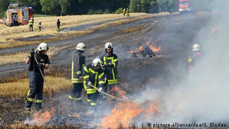 Feuerwehrleute löschen einen Feldbrand (Foto: dpa)
