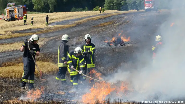 Feuerwehrleute löschen einen Feldbrand (Foto: dpa)
