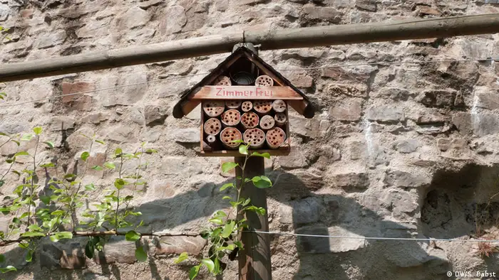 Essbare Stadt Andernach (DW/S. Pabst)