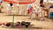 Strand Palm Beach östlich von Hauptstadt Algier Strand Palm Beach östlich von Hauptstadt Algier