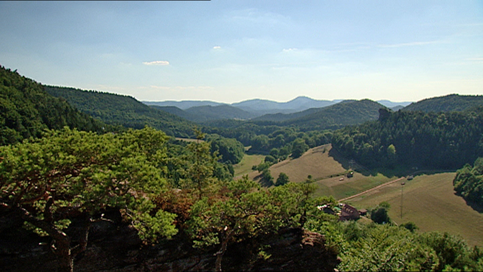 Bosque del Palatinado naturaleza en vivo Destino Alemania DW 05.
