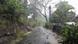 Tropical storm Erika hits Dominica Tropical storm Erika hits Dominica