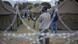 Refugees standing in tent village in South Africa, behind barbed-wire fencing MUJAHID SAFODIEN/AFP/Getty Images Refugees standing in tent village in South Africa, behind barbed-wire fencing MUJAHID SAFODIEN/AFP/Getty Images
