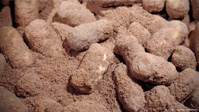 Milbenkäse (Imago/Steffen Schellhorn)