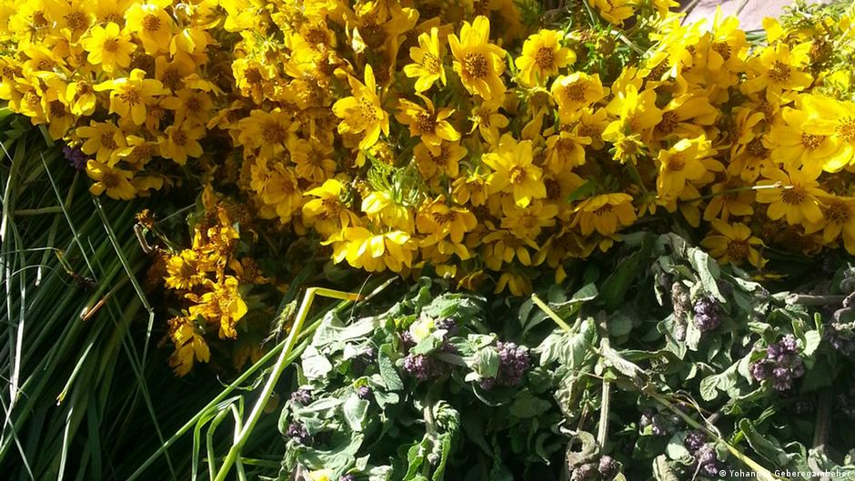 የ2017 ዓ.ም የዘመን መለወጫ በዓል መልእክቶች