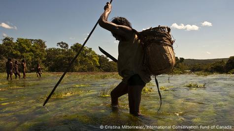 Fishermen in Brazil Save a River Goliath, and Their Livelihoods