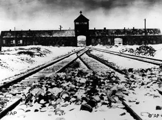 Rudolf said he had found no evidence that camps like Auschwitz ever existed