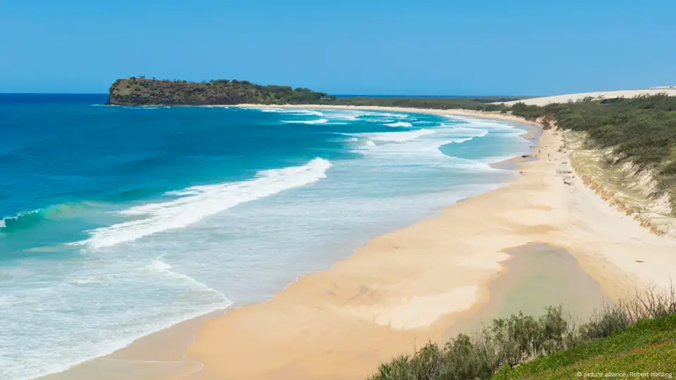 Dingo on Fraser Island drags toddler from campervan, dad fights pack