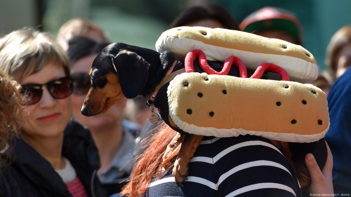 Animals with funny names in German – DW – 01/17/2018 Animals with funny names in German – DW – 01/17/2018