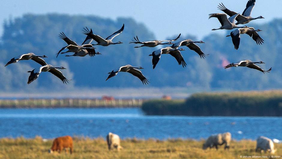 10 reasons to visit Rügen – DW – 08/11/2016