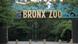 Bronx Zoo Bronx Zoo