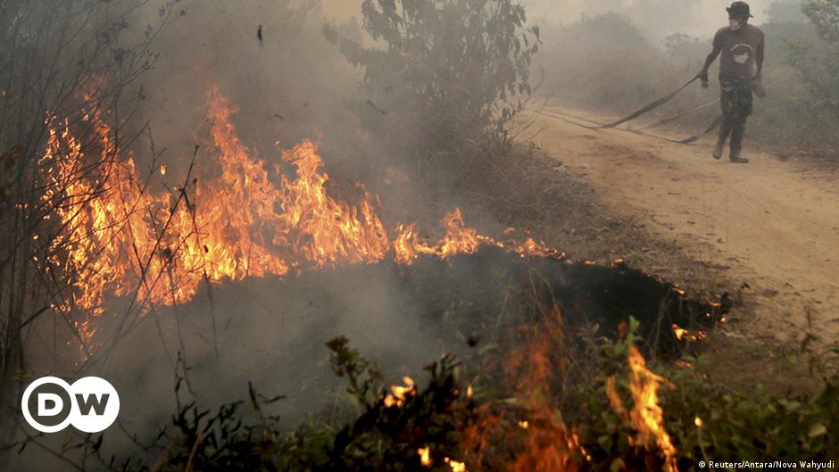 Dampak kebakaran hutan di kalimantan