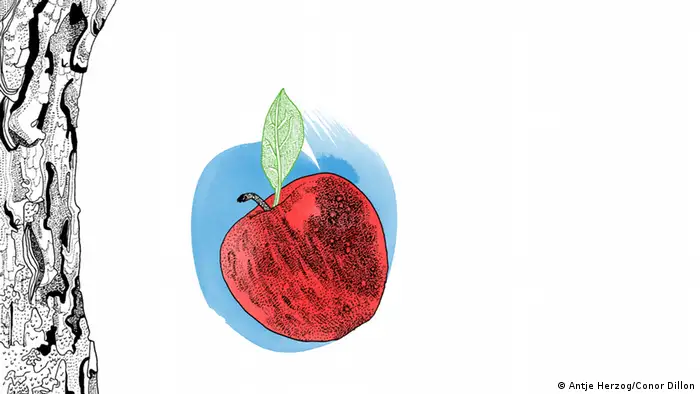 Der Apfel fällt nicht weit vom Stamm Illustrationen Kultur DW exclusiv Projekt Sprichwörter 