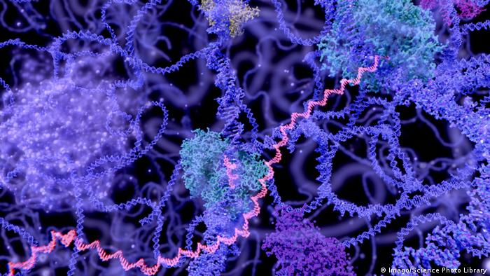 DNS DNA Illustration Molekül (Imago/Science Photo Library)