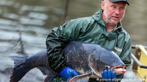 Будет клево: ТОП-5 мест для рыбалки в Беларуси