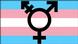 Symbolbild Transgender Logo Fahne Symbolbild Transgender Logo Fahne