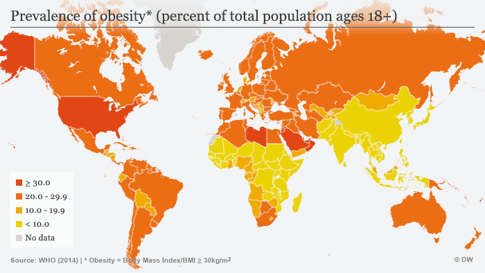 Infografik Verbreitung von Fettleibigkeit weltweit Englisch