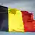 belgische Flagge im Wind (Foto: picture alliance / blickwinkel/McPHOTOs)