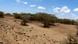 Kenia Afrika Arid Turkana Dürre Kenia Afrika Arid Turkana Dürre